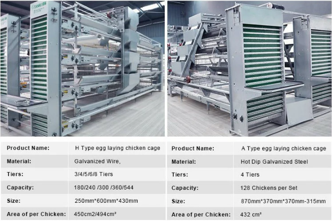 Automatic chicken coop