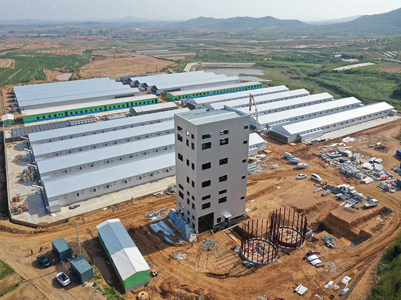 Livestock Farming House Poultry Farm