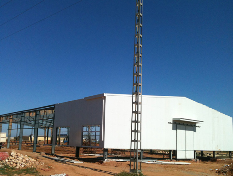 Low Cost Algeria Green Construction Steel Structure Workshop