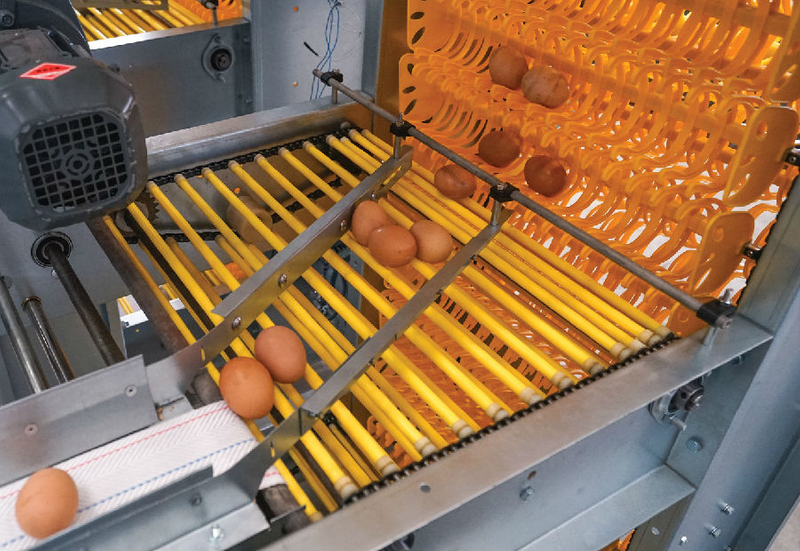 Stable Egg Packaging Equipment Electric Lifting System 