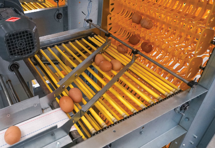 Stable Egg Packaging Equipment Electric Lifting System 