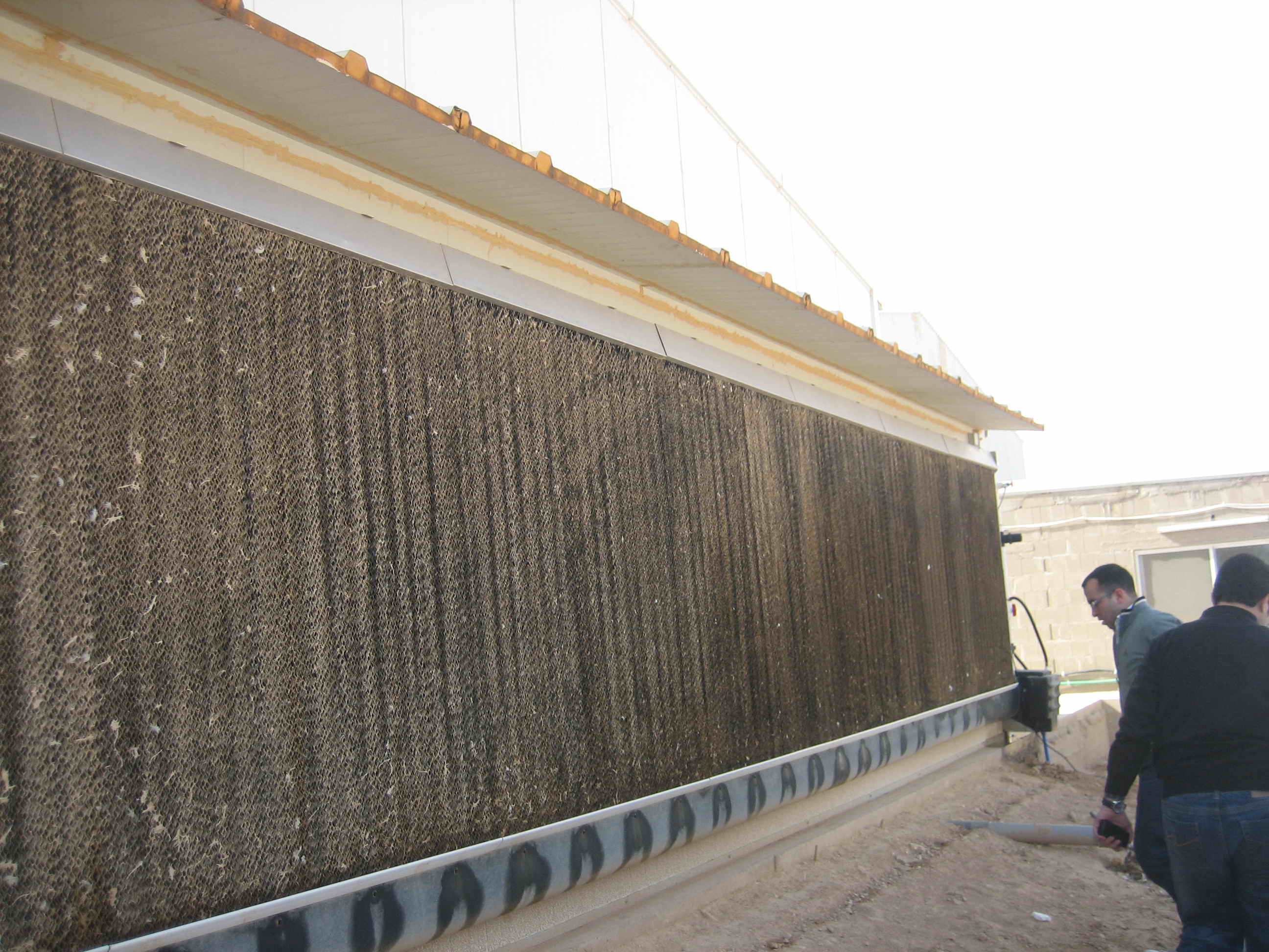 Pakistani Livestock Farming House Mechanized Equipment Chicken Coop