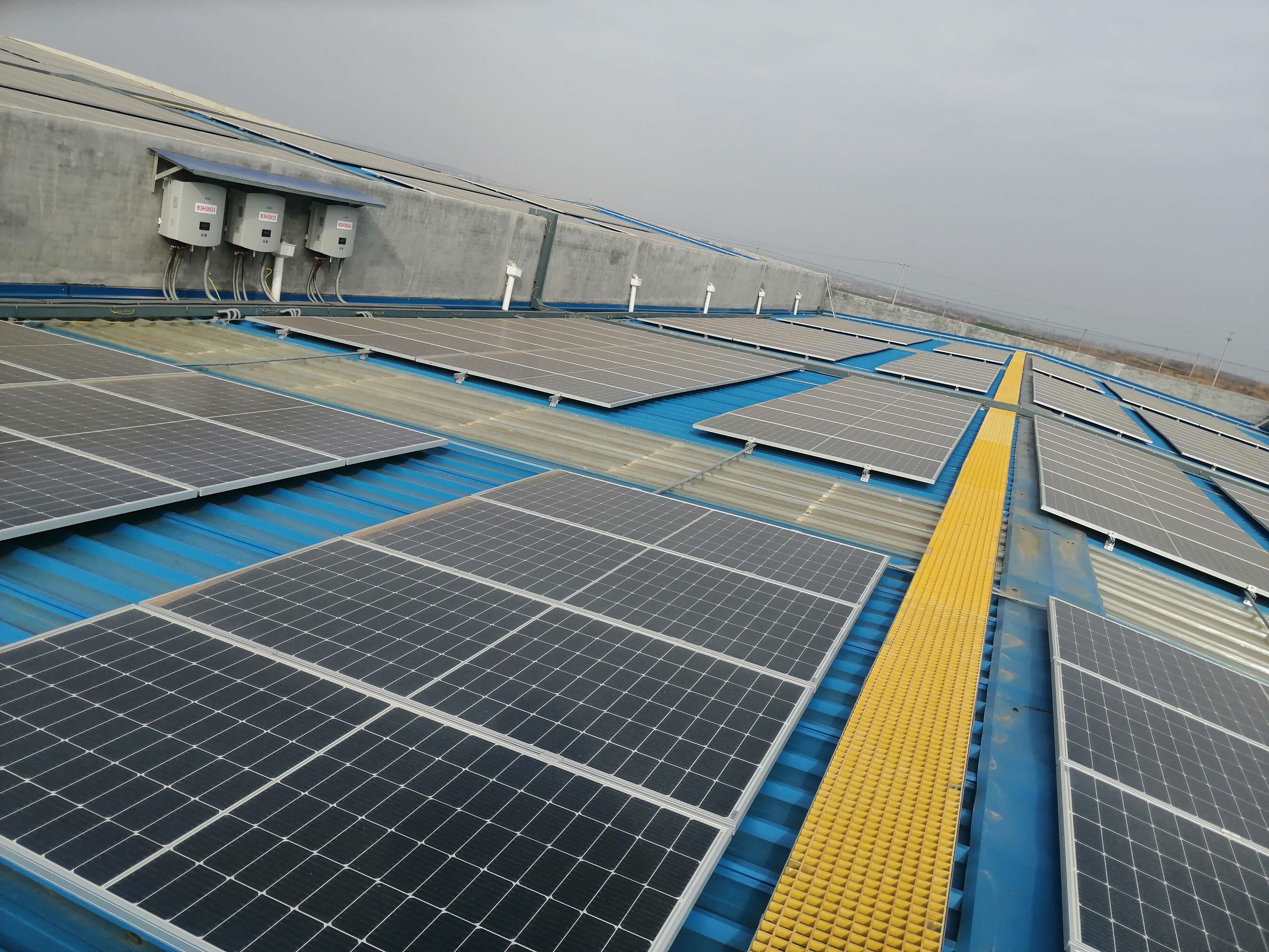 Environmental Popular Multifunctional Steel Structure Building Photovoltaic Plant 