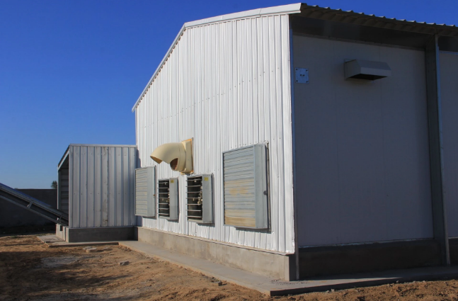 Economical And Practical Steel Structure Livestock Farming House