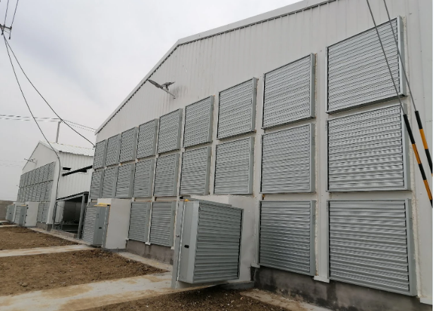 Steel Structure Pre-Engineered Chicken Coop Livestock Farming House