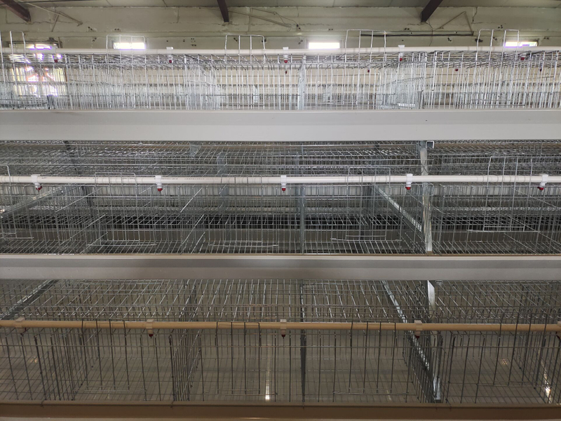 Prefabricated Chicken House Farm Project Broiler Cage