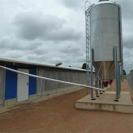 Prefabricated Steel Structure Livestock Farming House for Broiler