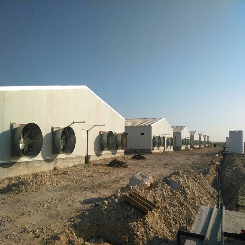 Easy Assembled Prefabricated Livestock Farming House Poultry Farm 