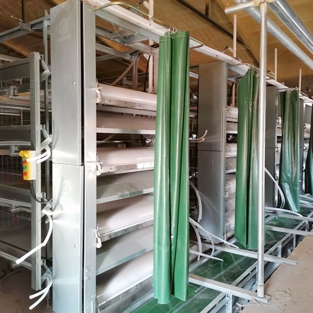 Egg breeding to scale automation equipment can enhance the quality and efficiency of fresh egg processing