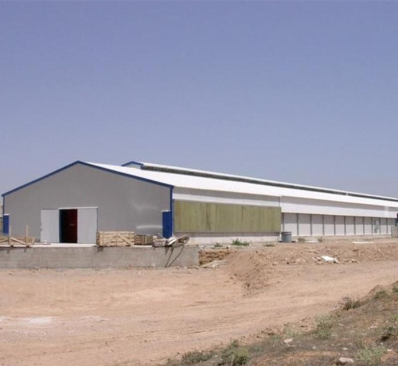 Prefab Poultry Modern Livestock Farming House From Factory