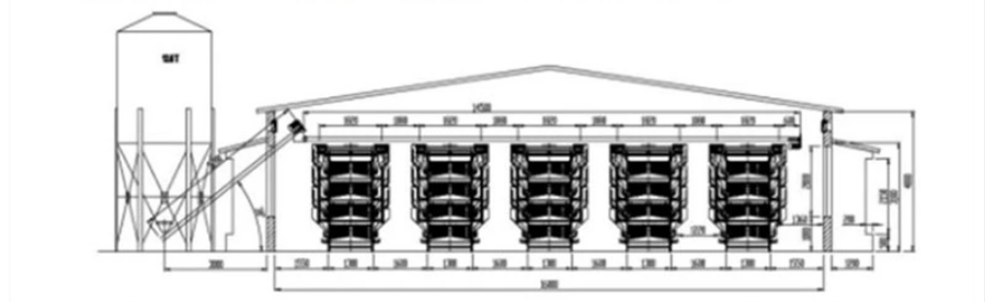 “H”Type layer Rasing Equipment