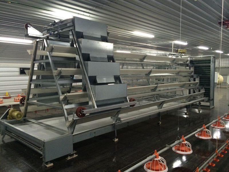 Type A Laying Hens Breeding Chicken Cage Equipment