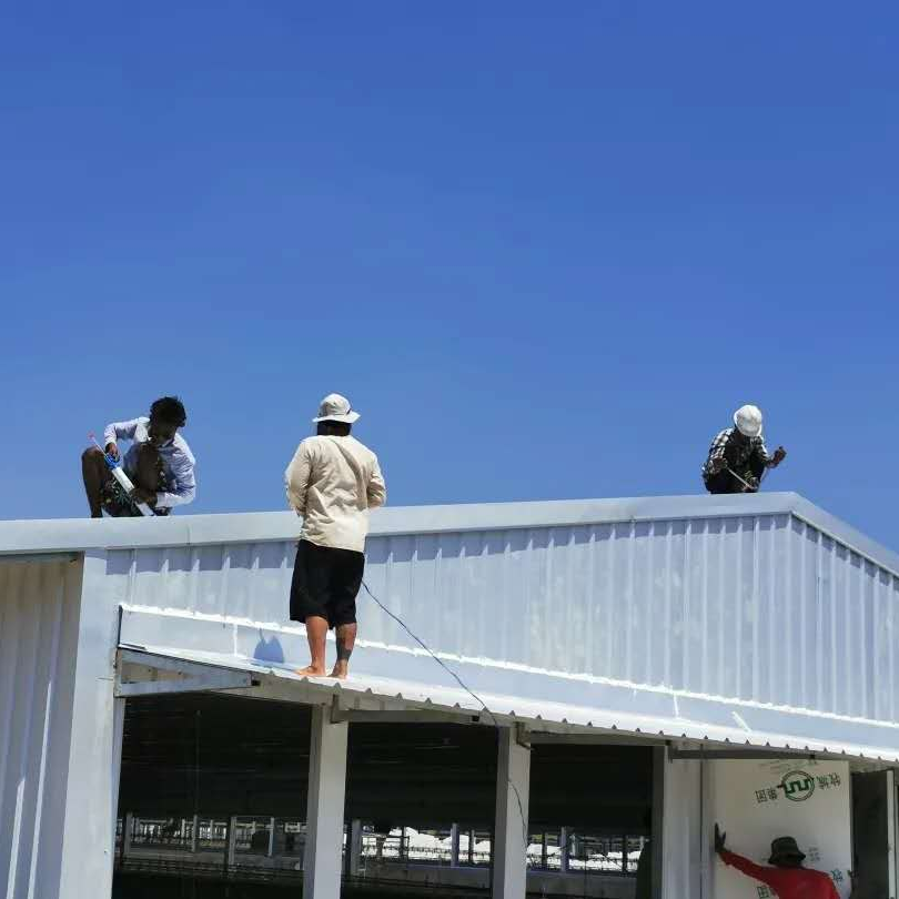 Broiler Breeding Program Broiler Flat Raising in Myanmar