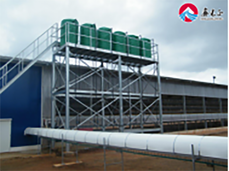 Livestock Farming House Angola Broiler Chicken Poultry Farm