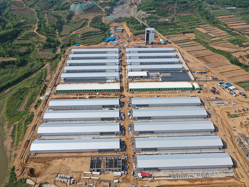 Livestock Farming House Poultry Farm