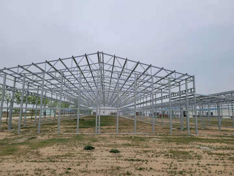 Hard Livestock Farming House Poultry Houses in China