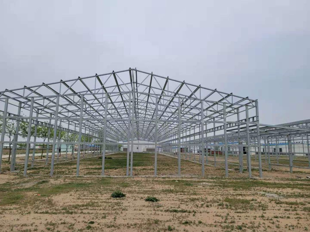 Hard Livestock Farming House Poultry Houses in China