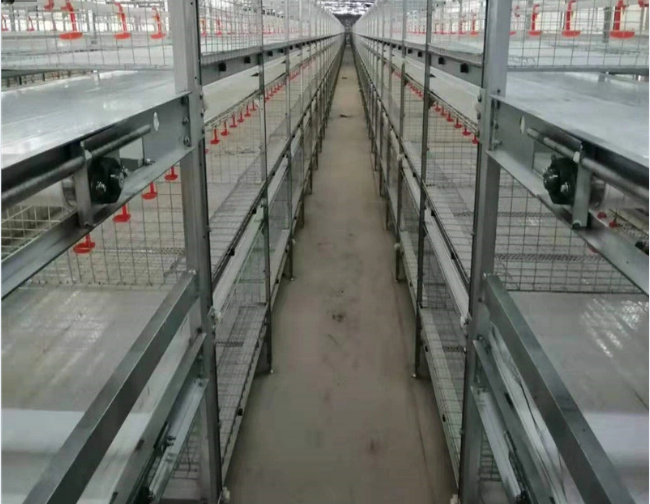 Type A Egg Breeding Cage Chicken Equipment