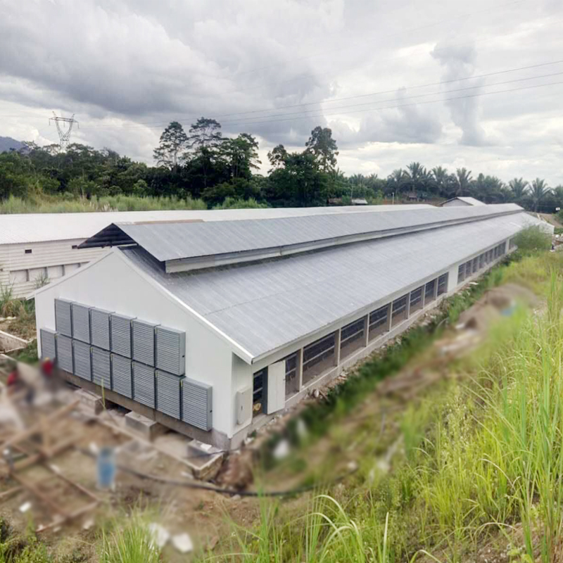 poultry housing 