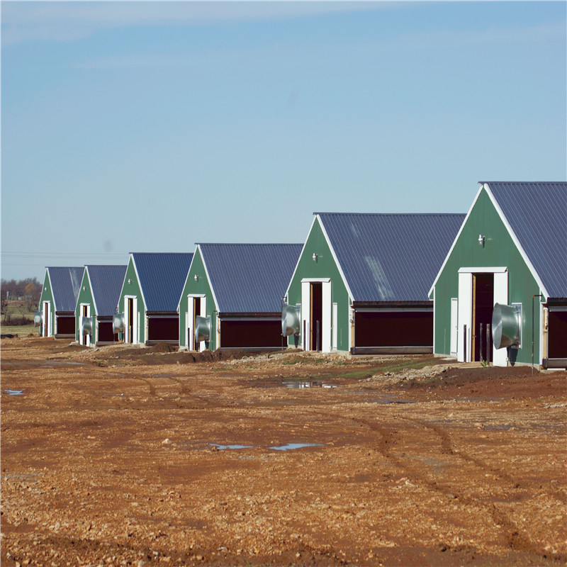 New Design Steel Structure Poultry House