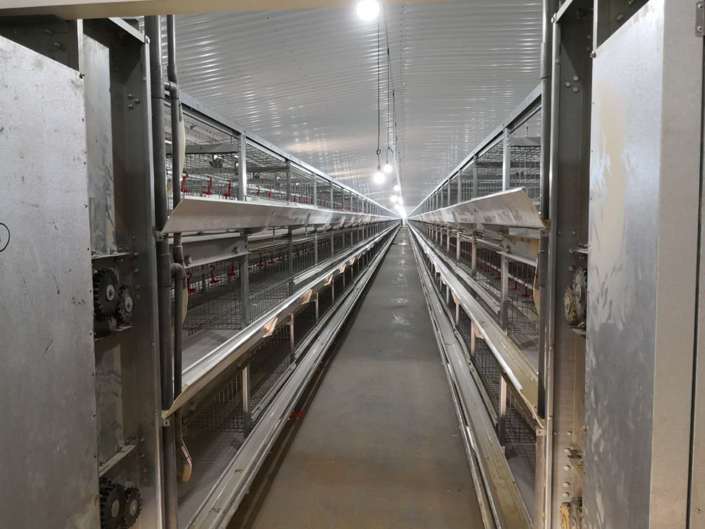 Hot Selling Automatic Laying Hens Chicken Broiler Cage