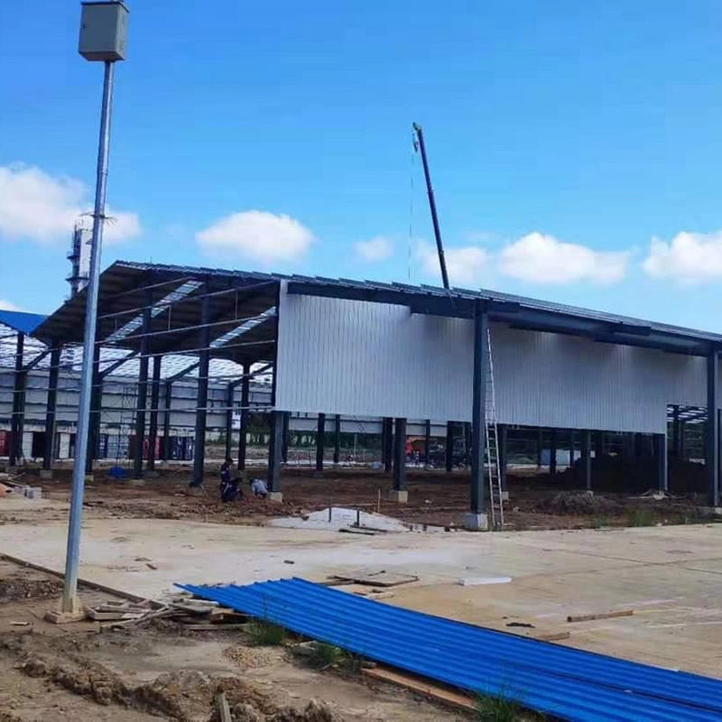 Construction Steel Structure Warehouse Color Cladding Covered Roof