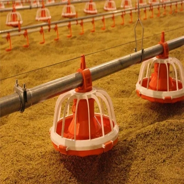 Saving The Safety Husbandry Equipment of Feed Pan
