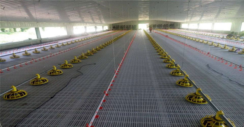 Firm Resistant To Aging Husbandry Equipment Leaky Floor