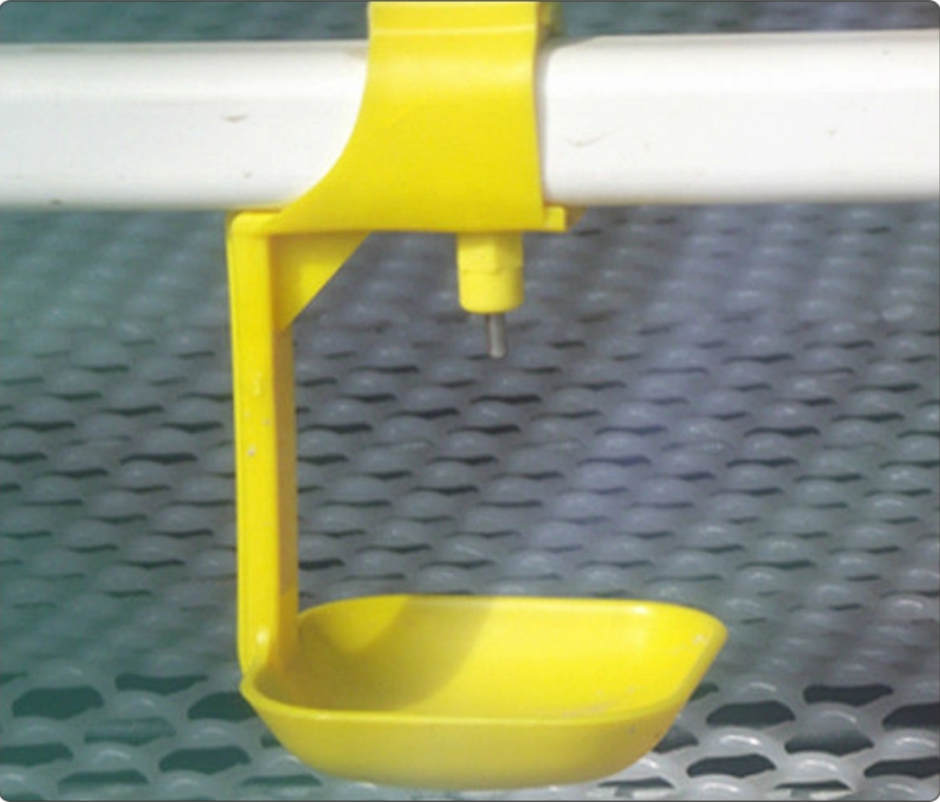 Drinking Water System