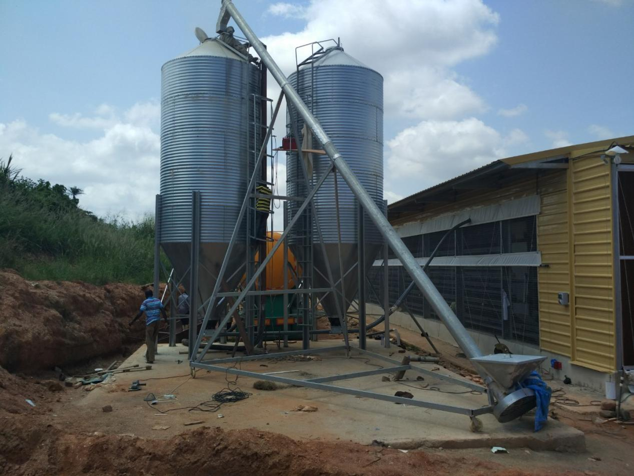 Cage Egg Breeding Equipment in Ghana Laying Hens