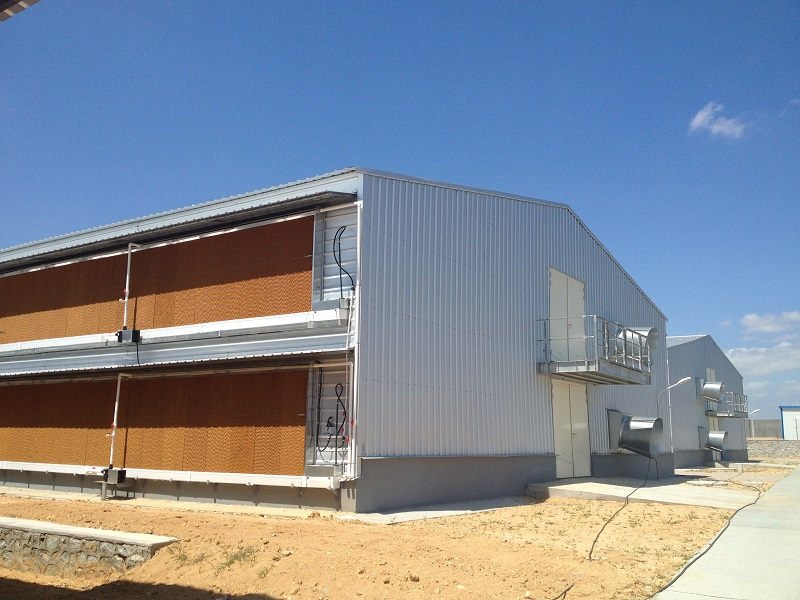 Large scale poultry Livestock Farming House chicken farm 