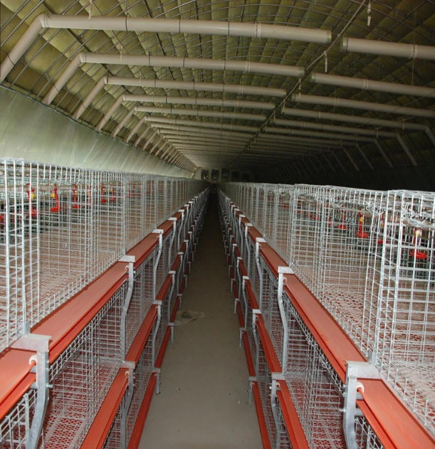 Automatic Husbandry Equipment Poultry House Feeding System 