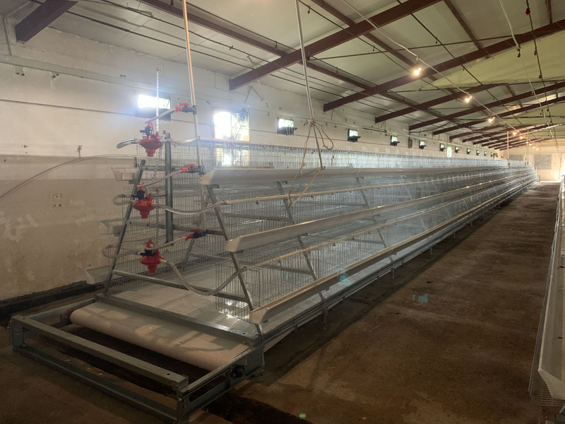 Prefabricated Chicken House Farm Project Broiler Cage