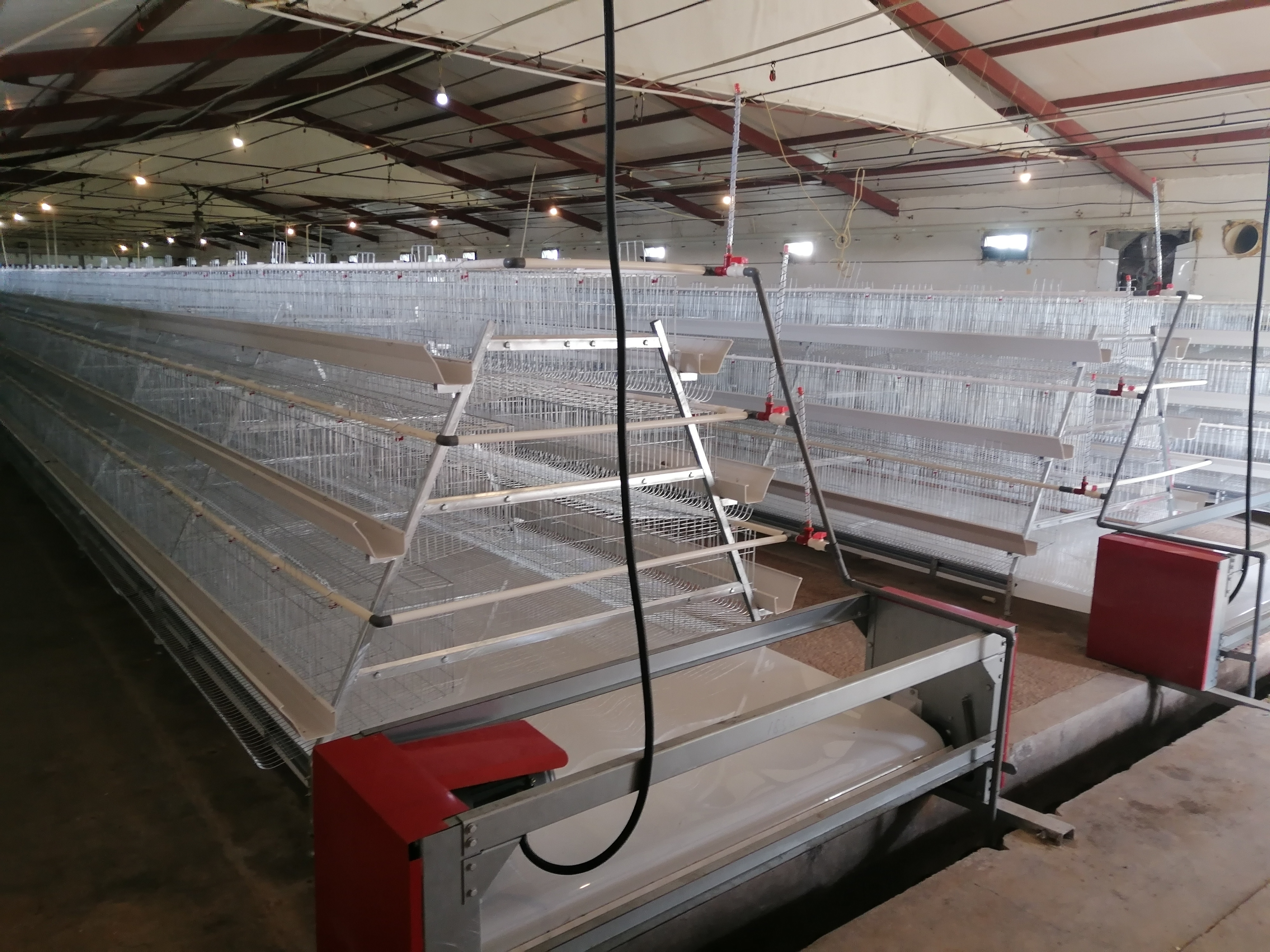 Prefabricated Chicken House Farm Project Broiler Cage