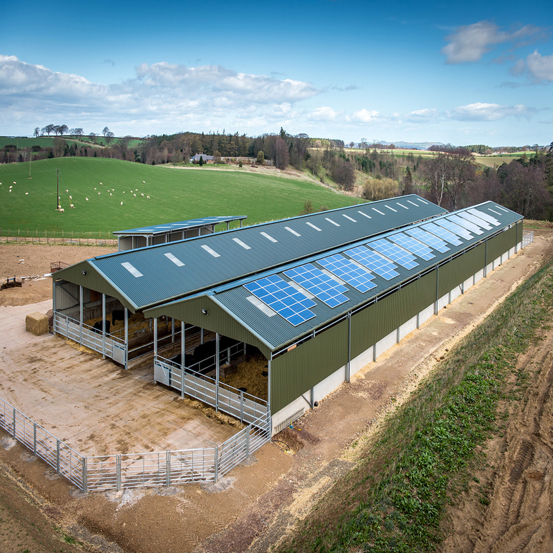 Prefabricated Steel Structure Livestock Farming House Farm Cowshed