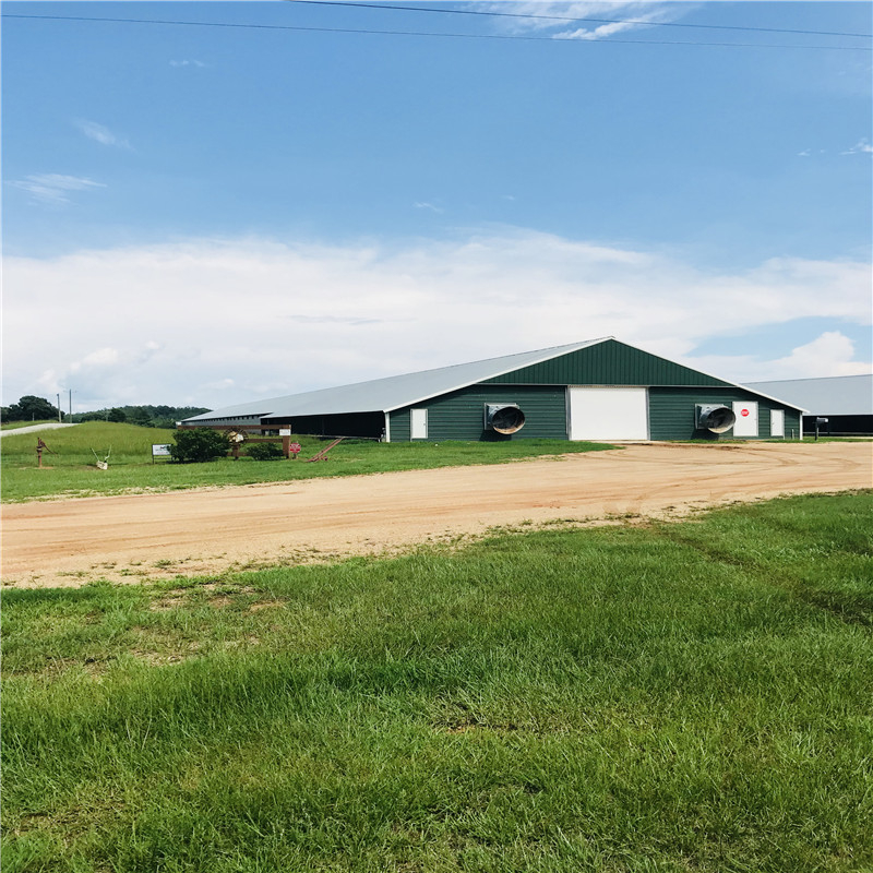 New Design Steel Structure Poultry House