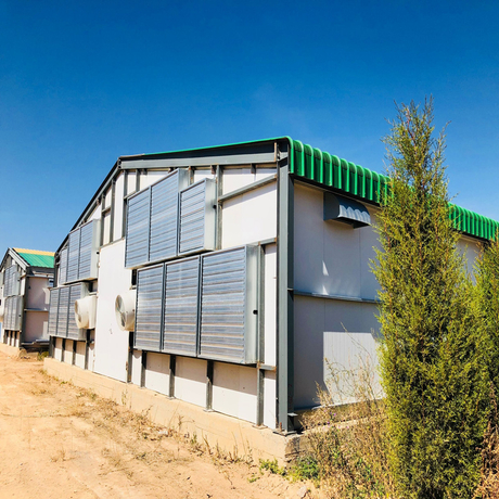Long Span Light Steel Solid Livestock Farming House 