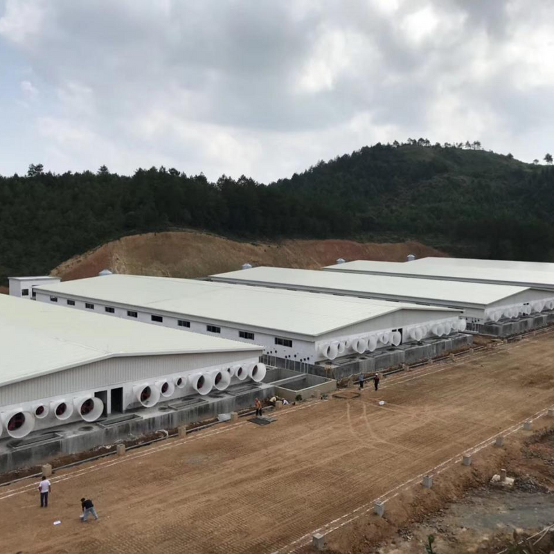 Practical And Beautiful Livestock Farming House in China