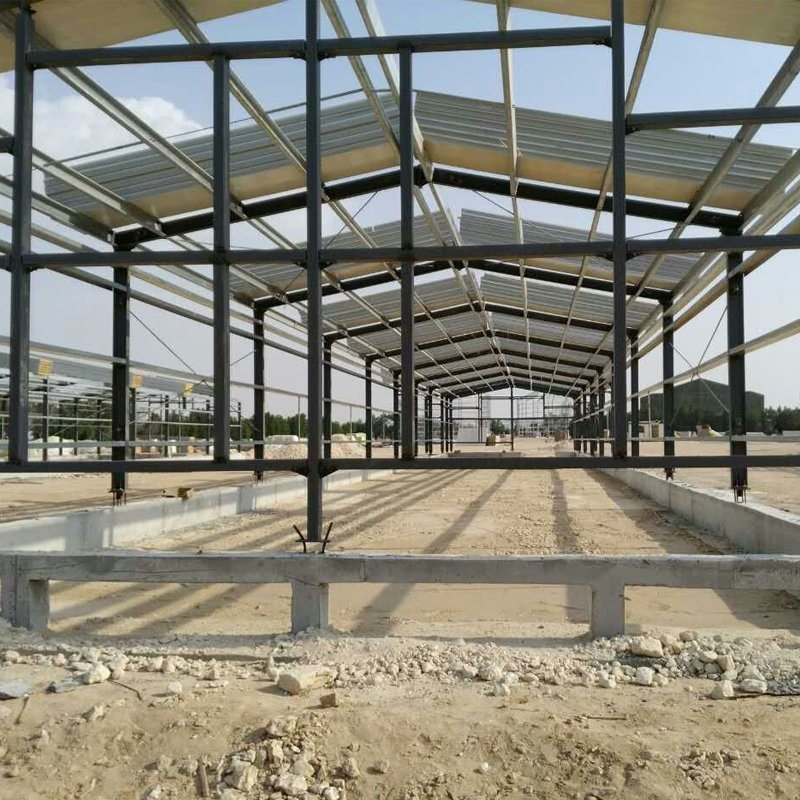 Variety of Steel Structure Warehouse Factory Workshop