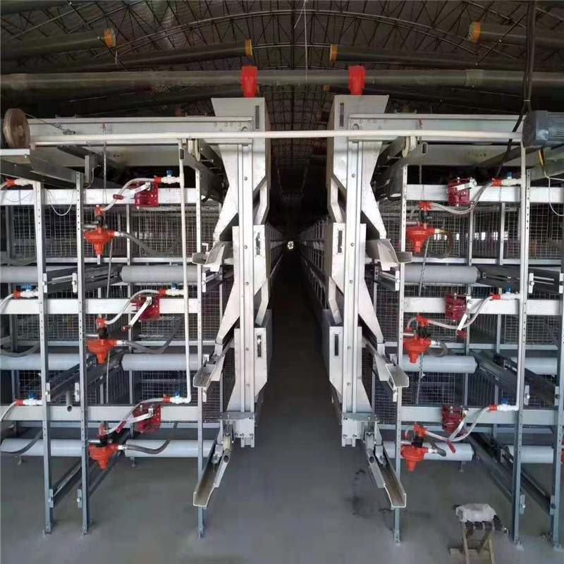 Automatic Poultry Farm Broiler Cage Chicken Equipment