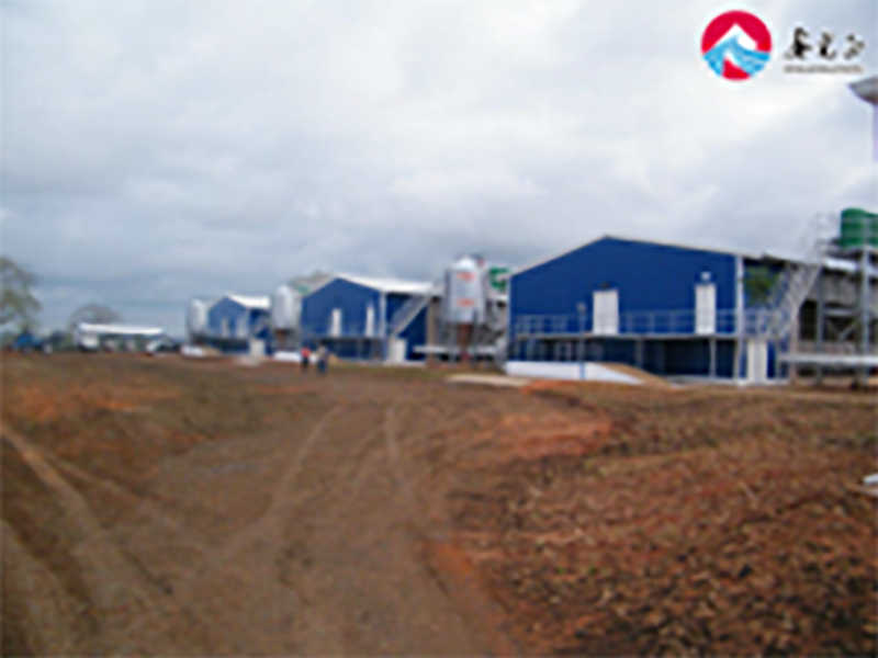 Broiler Chicken house