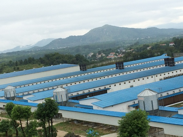Livestock Farming House with control room