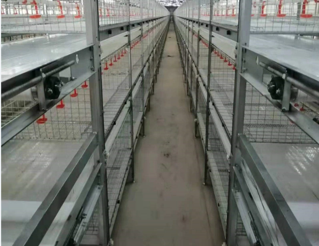 Type A Egg Breeding Cage Chicken Equipment