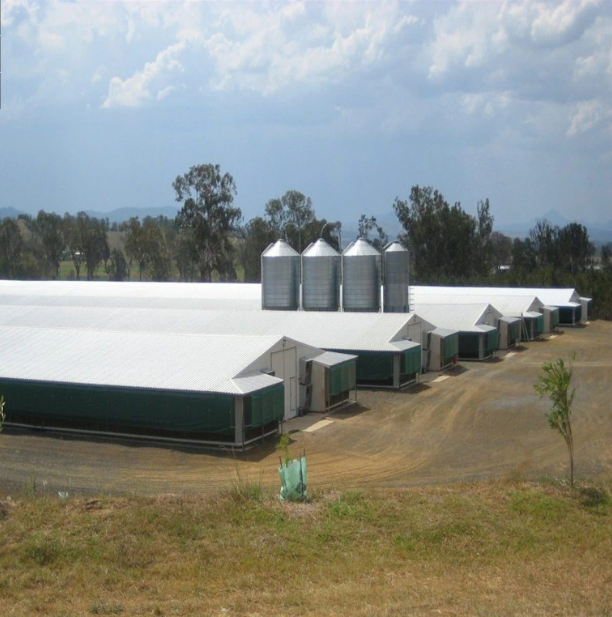 Steel Livestock Farming House Poultry Chicken Shed