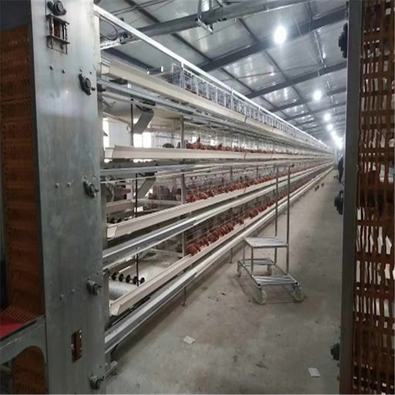 6-Storey High-Quality Cage Husbandry Equipment for Layer Chicken