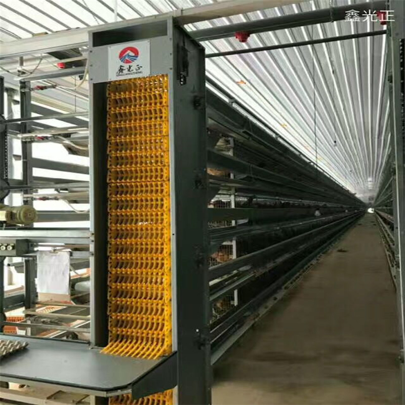 Long Span Prefab Laying Hens Breeding Equipment