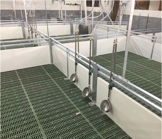 picture of real products