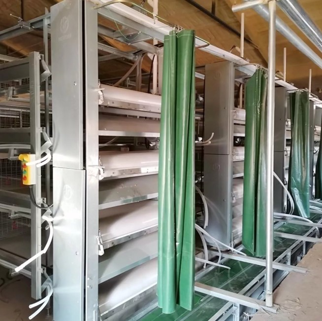 A broiler breeding solution for you