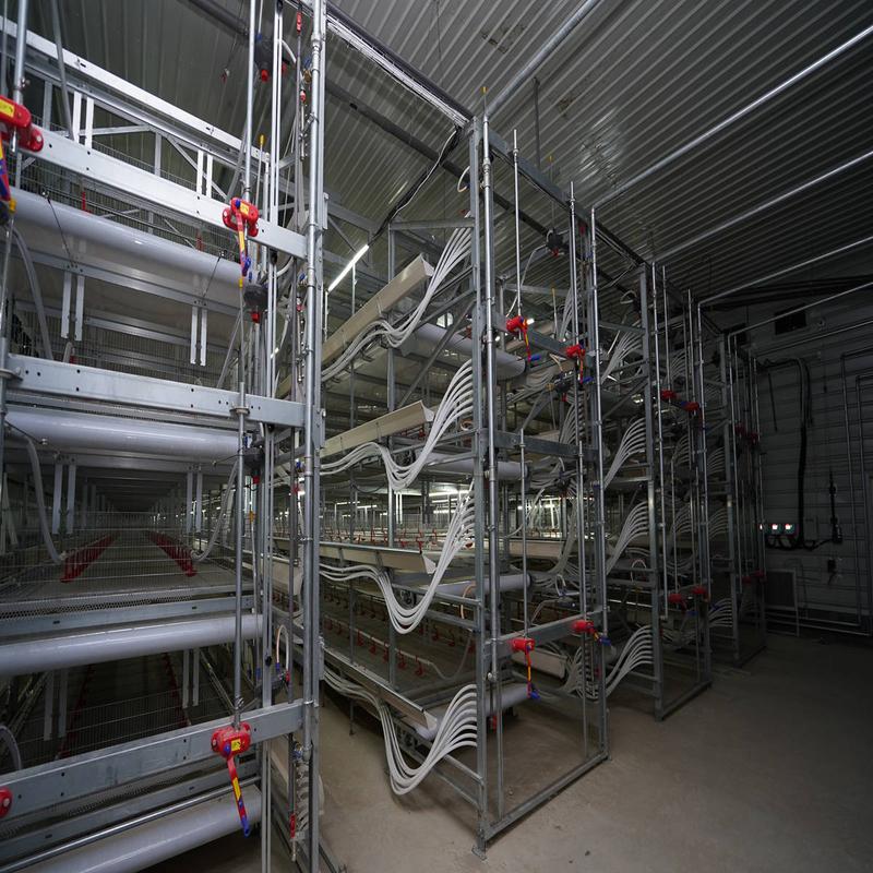 High Quality Chicken Livestock Farming House System