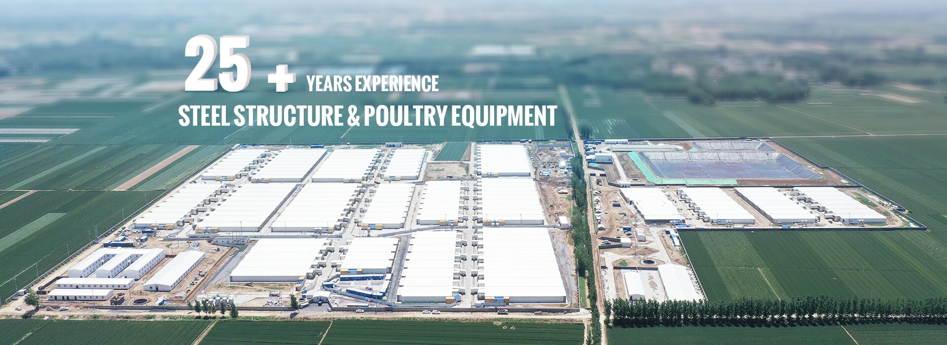 STEEL STRUCTURE & POULTRY EQUIPMENT